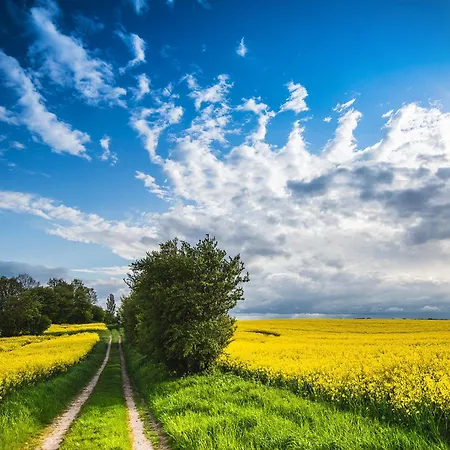 Dom wakacyjny Stoertebekers Koje *